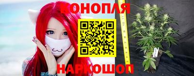 ГАЛЛЮЦИНОГЕННЫЕ ГРИБЫ Обь